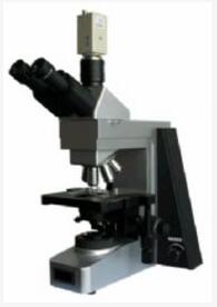 彼爱姆 高级相衬生物显微镜 BM-SG10PH