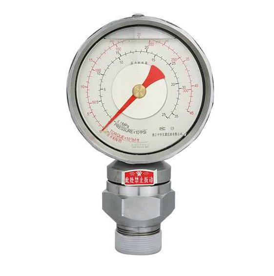 立管压力表 LG-1
