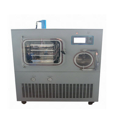 原位冷冻干燥机(硅油加热)压盖型 YB-FD-100L