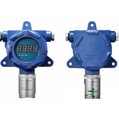 固定式气体探测器 BG330E