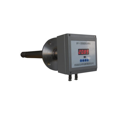 烟道氧量分析仪 DFY-II型