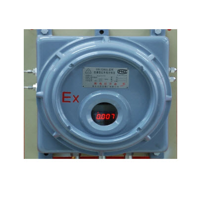 红外线气体分析器 HW-5200（EX）系列