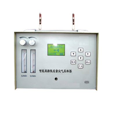 双路空气采样器  YTY-TWA-300N