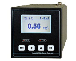 在线溶解氧仪 DO-210型