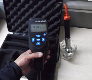 光学溶解氧仪 SQ-YBDO/2100M