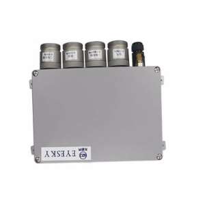 多参数气体检测仪 ES30B