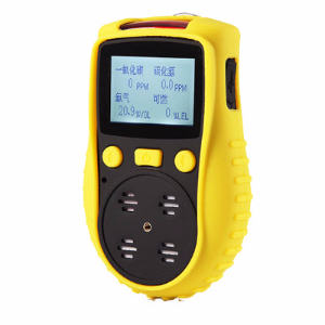 扩散式氧气检测仪 YT-1200H-S