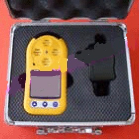 便携式臭氧测定仪 NJ8H-O3