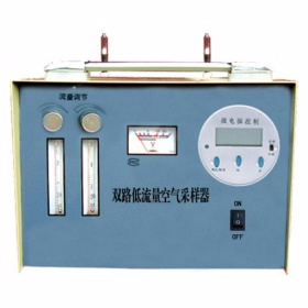 双路低流量空气采样器 YTY-TWA-300S