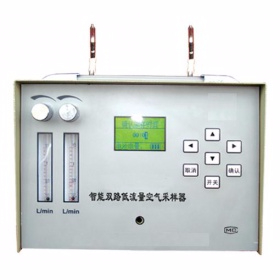 智能双路低流量空气采样器 YTY-TWA-300N