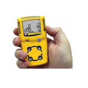 泵吸式四合一气体检测仪 BW MAXXT-4