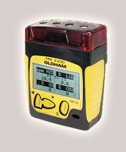 便携式气体检测仪 SQ-MX2100