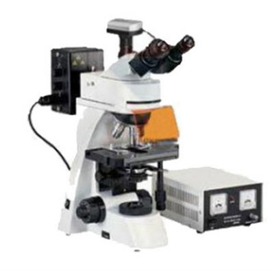 落射式荧光显微镜 SM-30TC