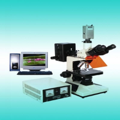 荧光显微镜 YYF-400