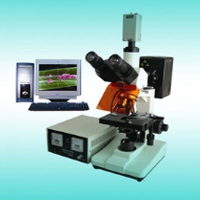 荧光显微镜 YYF-300