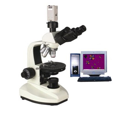 偏光显微镜 XP-202E