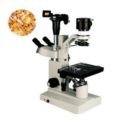 数码型生物显微镜 XSP-15CD