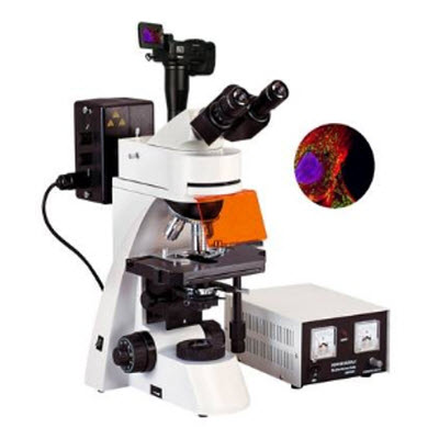 研究型荧光显微镜 BFM-600