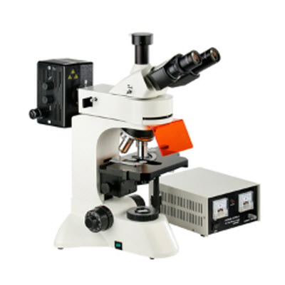 四波段正置荧光显微镜 BFM-550