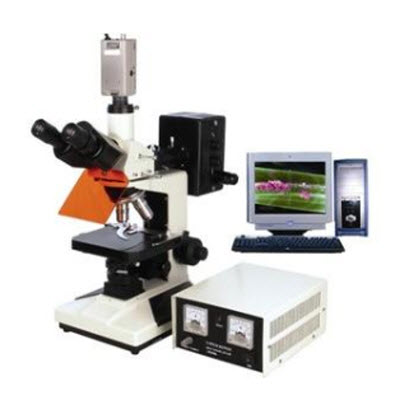 电脑型荧光显微镜 BFM-300