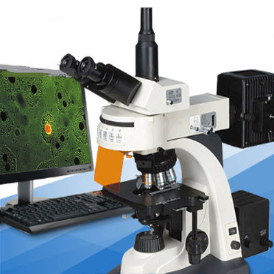 落射荧光显微镜 XSP-63B
