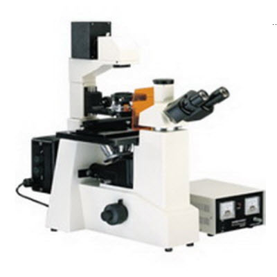 荧光显微镜 XSP-63XD