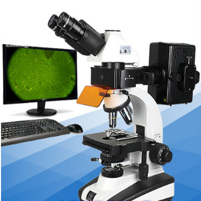 三目落射荧光显微镜 XSP-63X