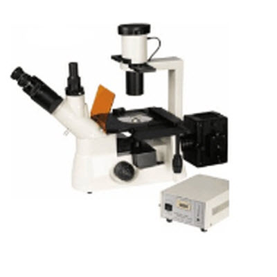 倒置荧光显微镜  HAD-F80