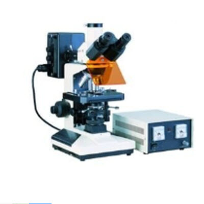 荧光显微镜  HAD-F150