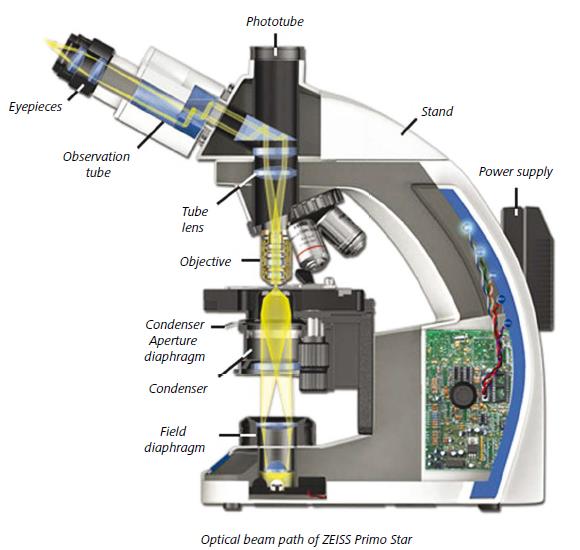 &nbsp;Primo&nbsp;Star透射光光路系统