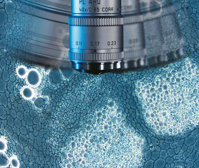 DM4 B & DM6 B一键更换对比度 DM4 B & DM6 B一键更换对比度