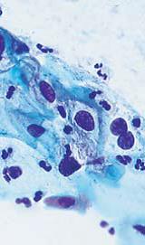 自动调节*佳光强度