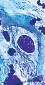 自动调节*佳光强度