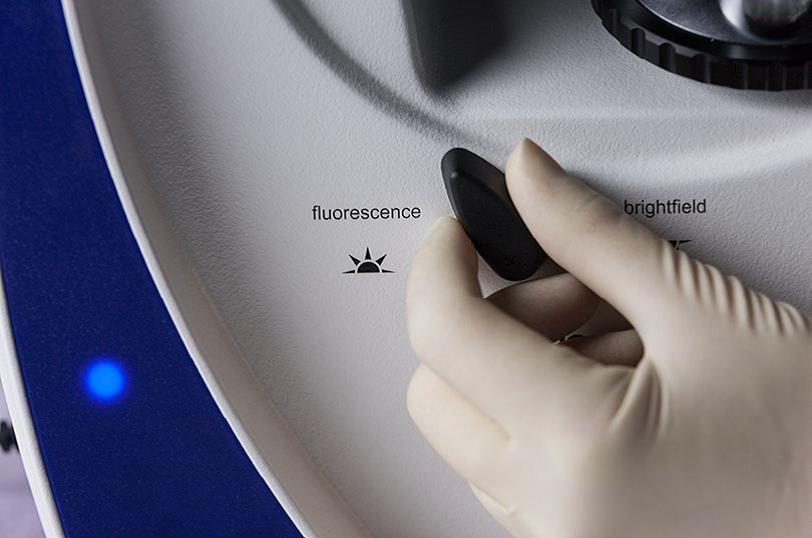 Primovert开关 Primovert开关