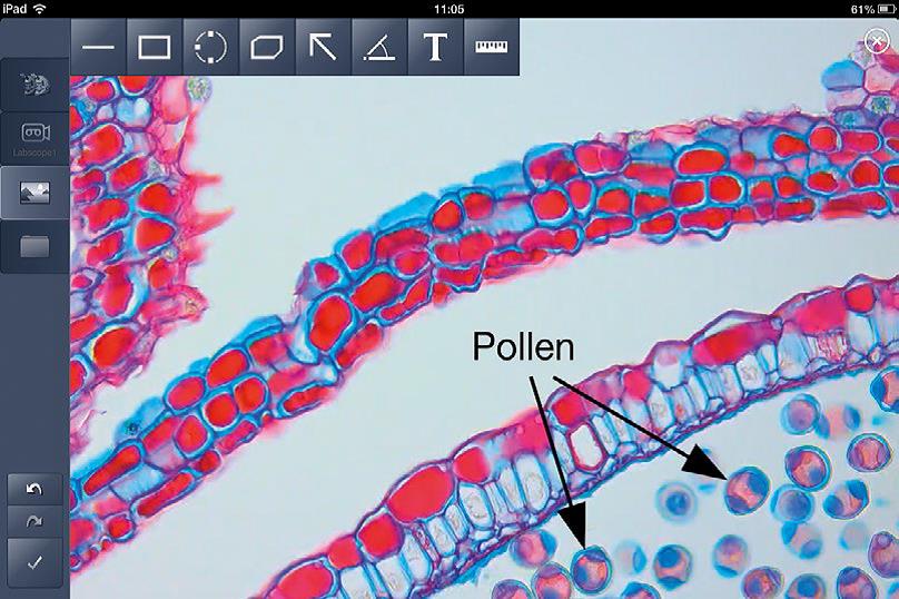 Labscope软件 Labscope软件