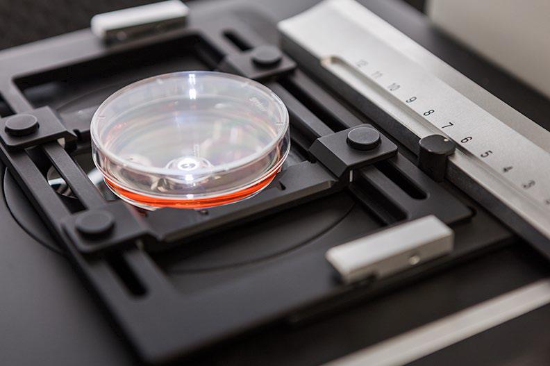 Primovert各式支架 Primovert各式支架