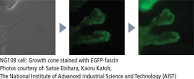 ti_超高分辨率 ti_超高分辨率