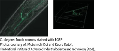 ti_全亮度 ti_全亮度