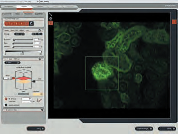 Leica AF6000 荧光图像软件