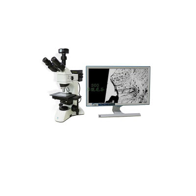 透反射偏光金相显微镜 SGO-3231