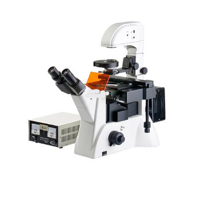 荧光显微镜 SGO-YG2