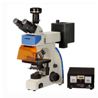 研究型荧光显微镜 FM-30