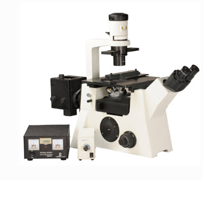 高档倒置荧光显微镜  DM-51