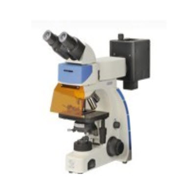 正置荧光显微镜 UY200I