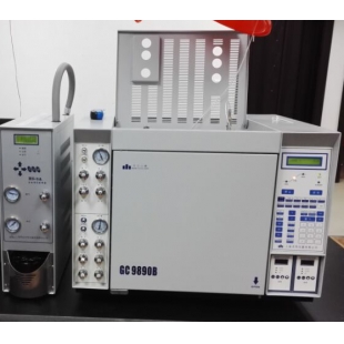 自来水中污染物检测专用色谱仪 GC+HS