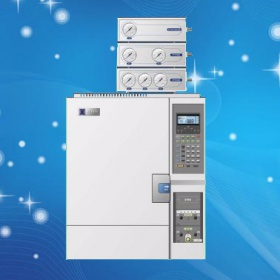 气相色谱仪 GC1650E