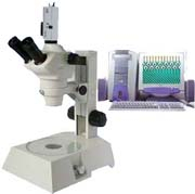 立体显微镜 ZOOM-600C