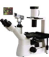 数码型倒置显微镜 XDS-330D