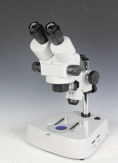 双目体视显微镜