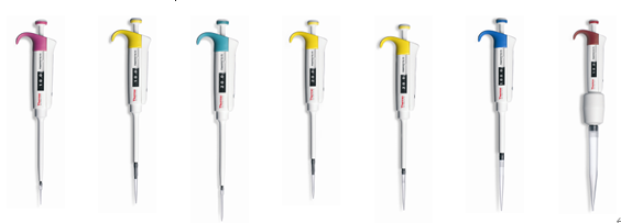 移液器 100-1000ul